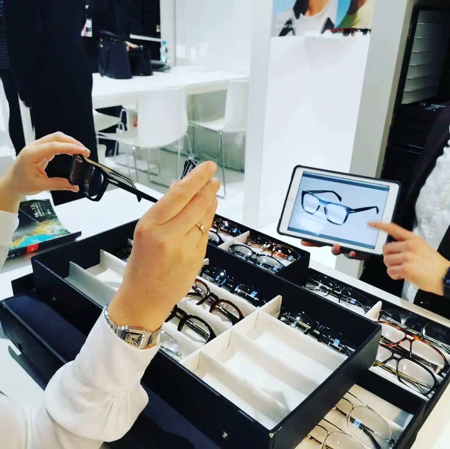 Brillen-Kollektionen-Neuheiten